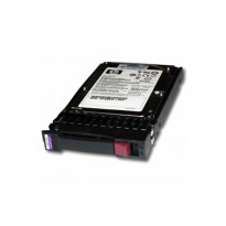 300GB 2.5(SFF) SAS 10K 6G HotPlug Dual Port ENT HDD (For servers storage except Gen8) Promo (analog 507127-B21)